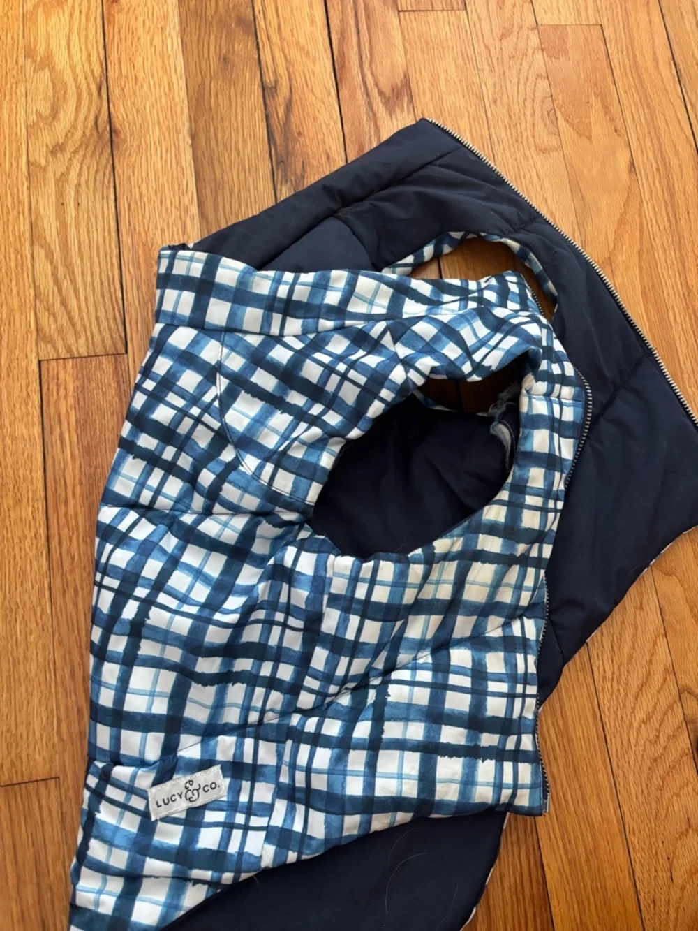 Lucy & Co. great worn